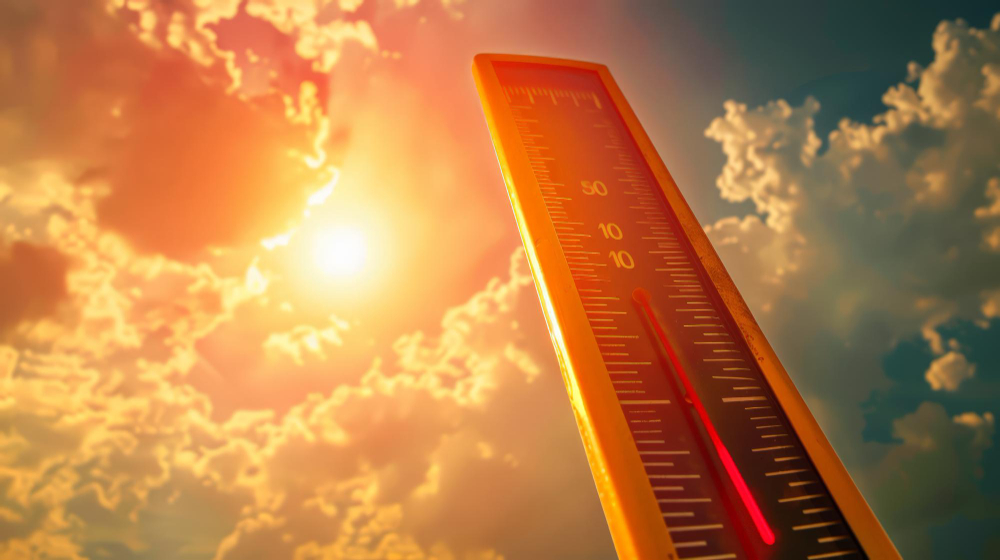 Commercianti chiedono alberi contro il caldo in piazza