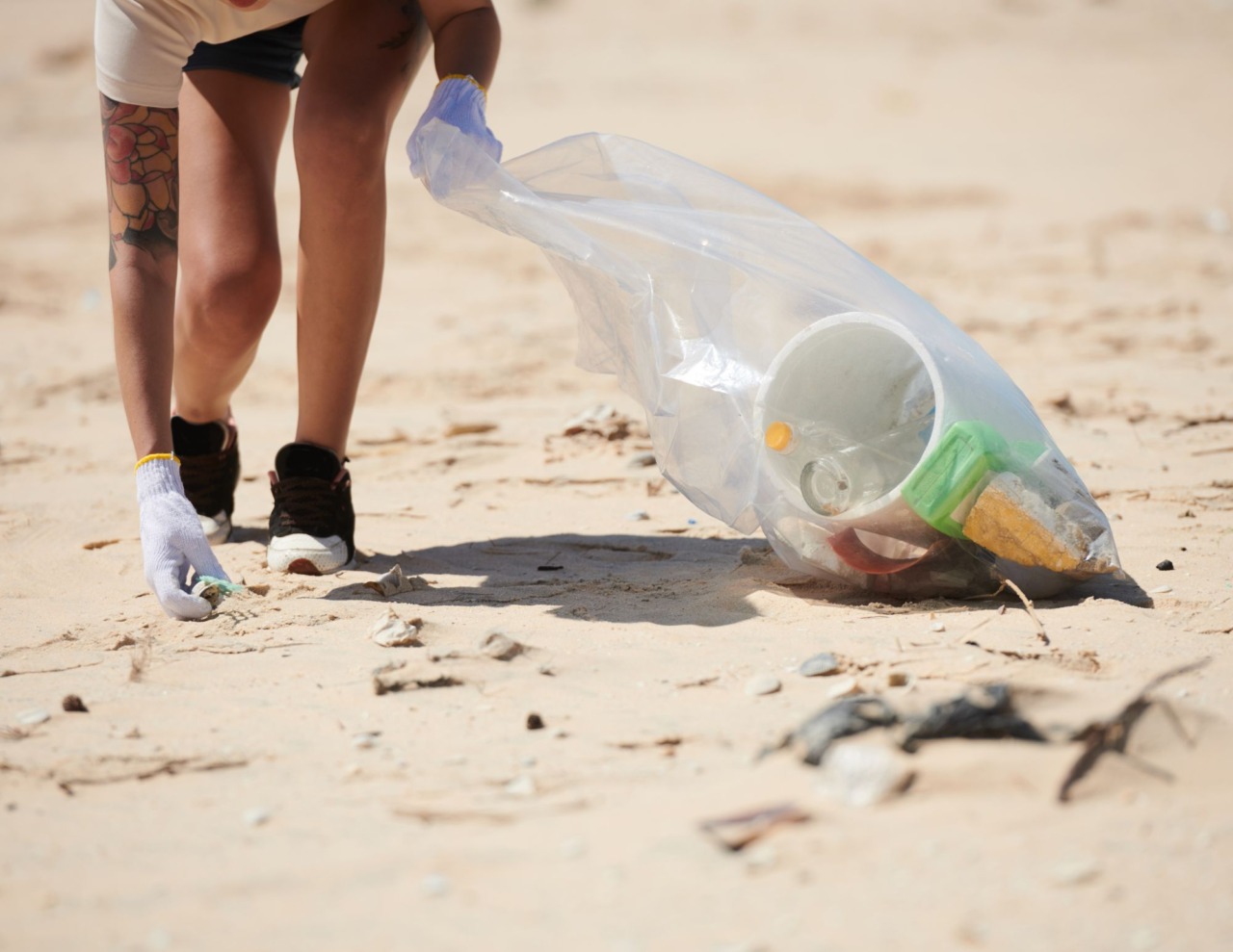 Volontari recuperano plastica e rifiuti dai fondali marini