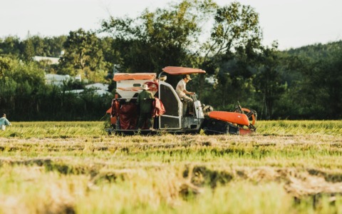 Sette lavoratori senza contratto durante la vendemmia